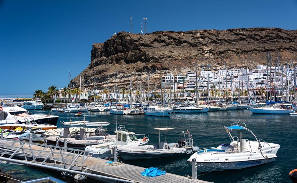 شقة Edificio Playa بويرتو دي موغان المظهر الخارجي الصورة